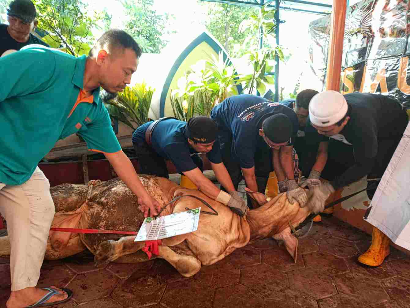 SD Muhammadiyah 1 Solo Gelar Pemotongan Hewan Kurban